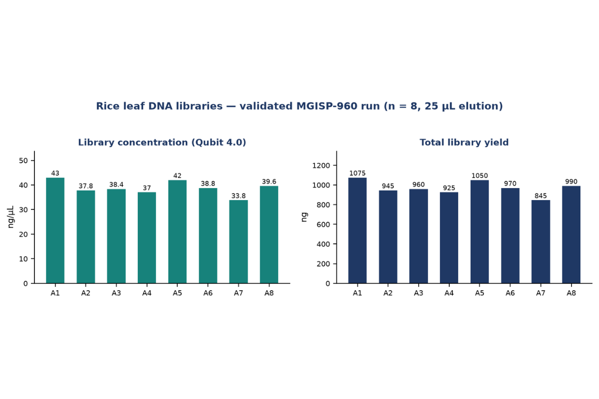 Automated DNA Library Prep | Whole‑Genome Re‑sequencing of Rice Leaf