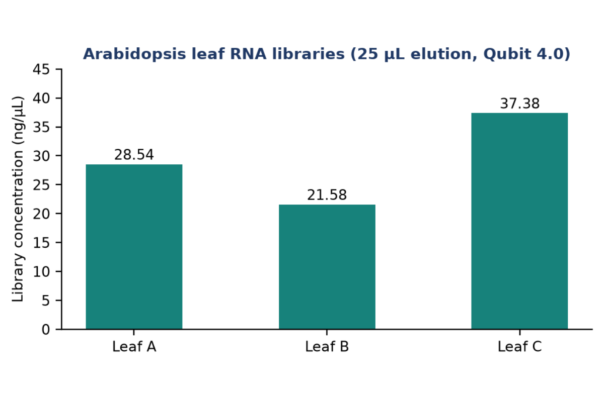 Automated RNA Library Prep | Transcriptome Sequencing of Arabidopsis Leaf Samples