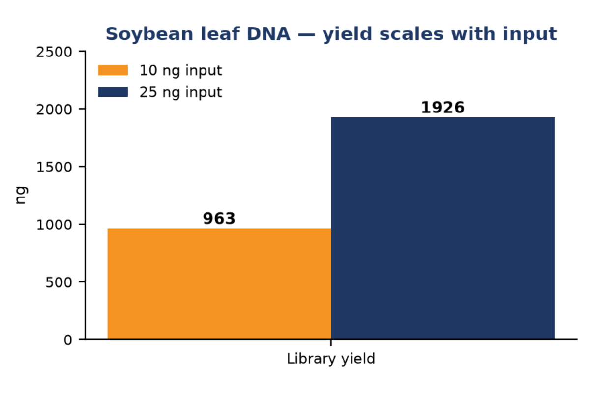 Automated DNA Library Prep | Whole‑Genome Re‑sequencing for Soybean Leaf