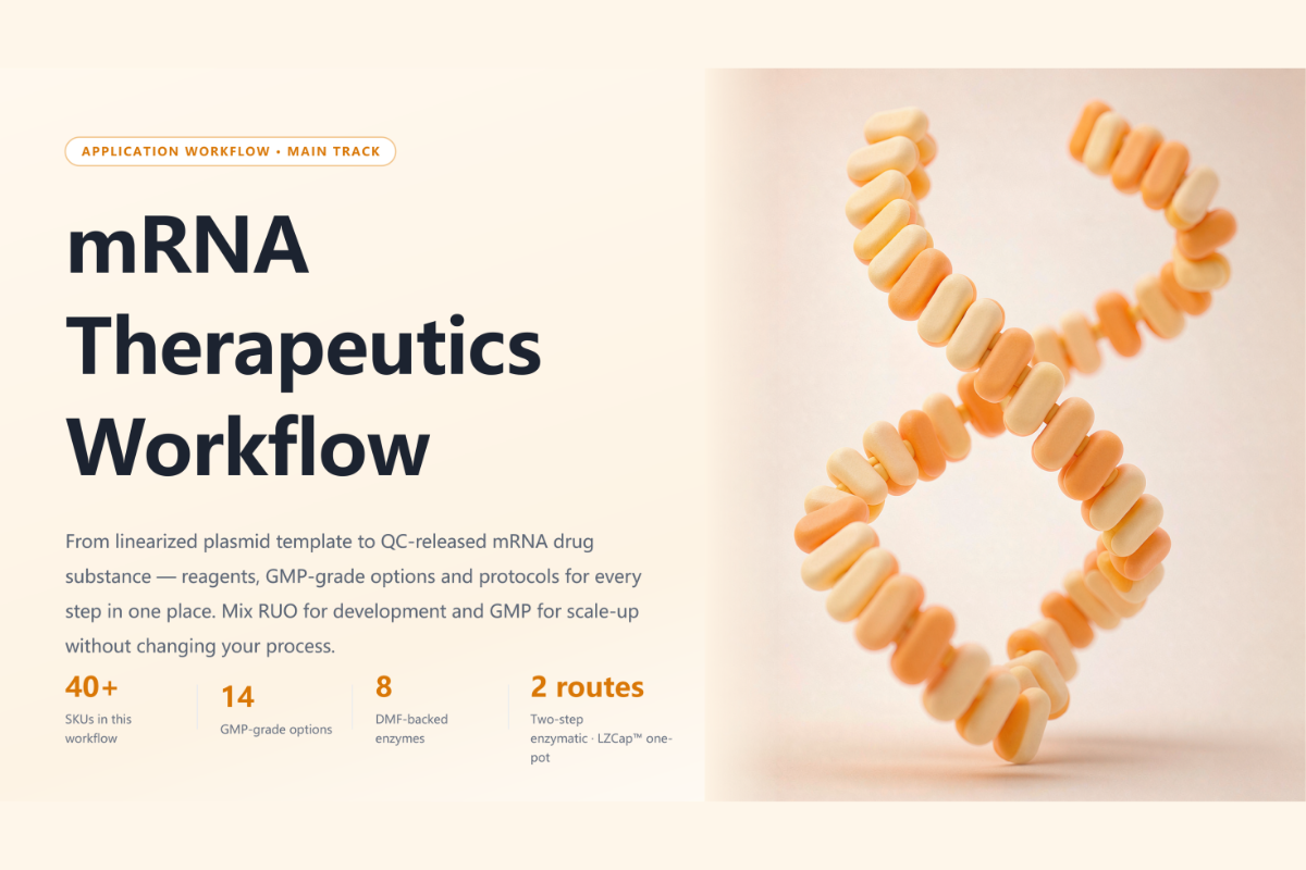 mRNA In Vitro Transcription Solution：From Enzymes and Raw Materials to Scalable mRNA Manufacturing
