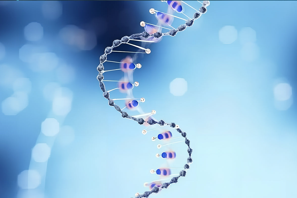 His & GST Tag Protein Purification Made Easy: Agarose Resin or Magnetic Beads?
