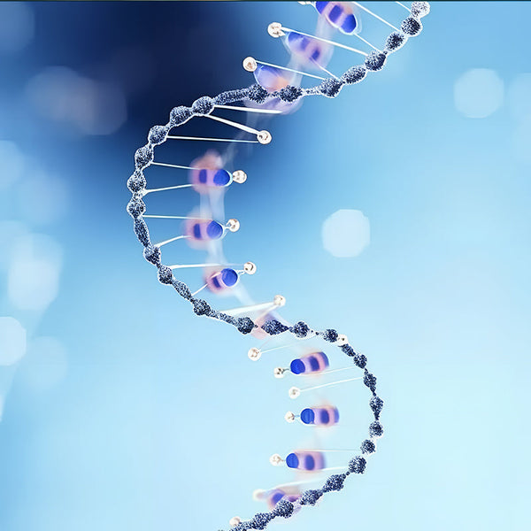 His & GST Tag Protein Purification Made Easy: Agarose Resin or Magneti His & GST Tag Protein Purification Made Easy: Agarose Resin or Magneti