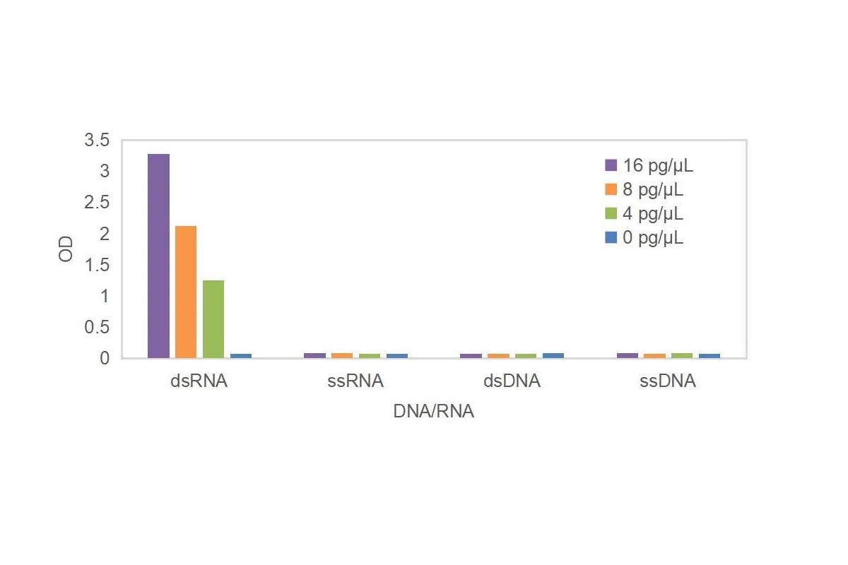 Sharing the Validation Report of the Double-stranded RNA (dsRNA) ELISA Kit to Promote the Standardization of dsRNA Detection.