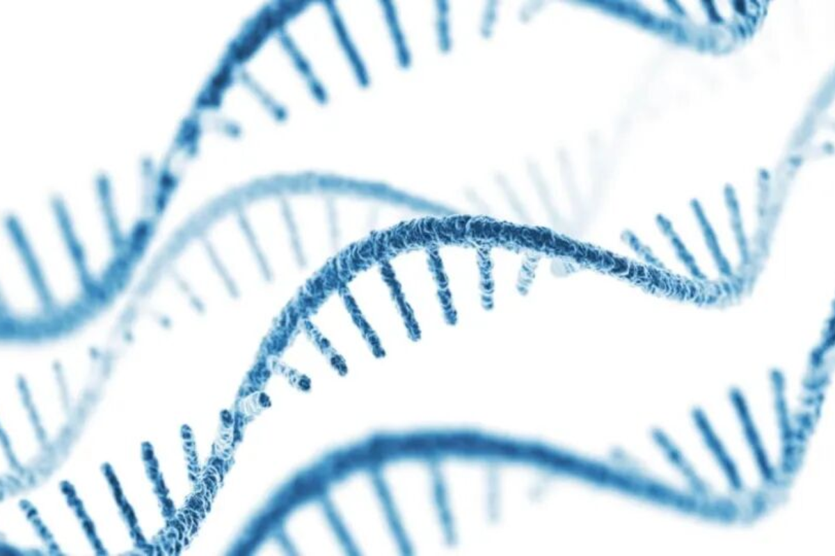 Total RNA Library Preparation: Capturing the Complete Transcriptome