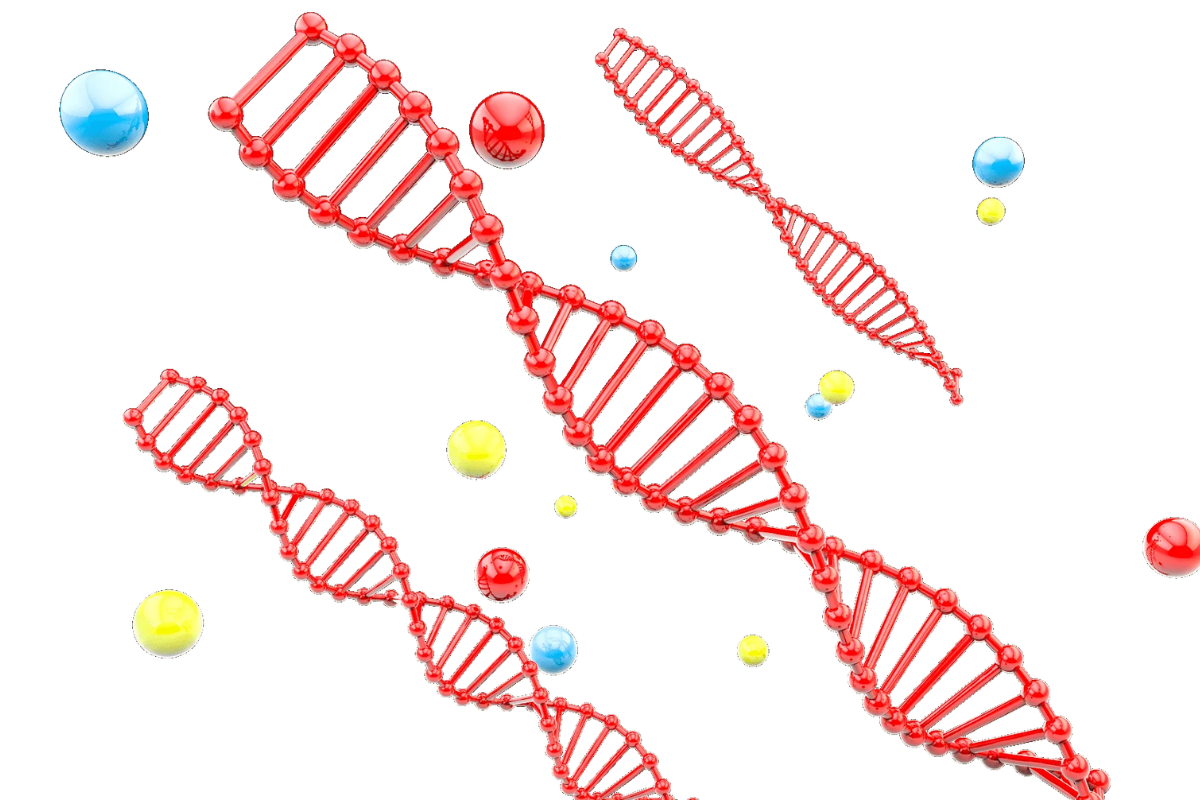 Solutions for Methylation Library Preparation