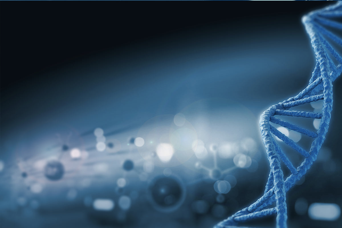 Hieff™ T7 RNA polymerase of Yeasen biotech provides Low dsRNA security for mRNA technology!