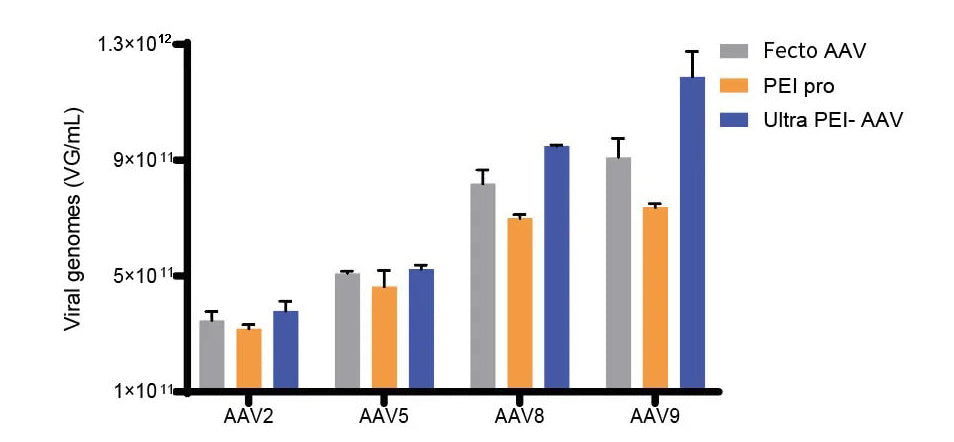 Linear PEI 40000: High-Efficiency Transfection for Reliable Gene Delivery