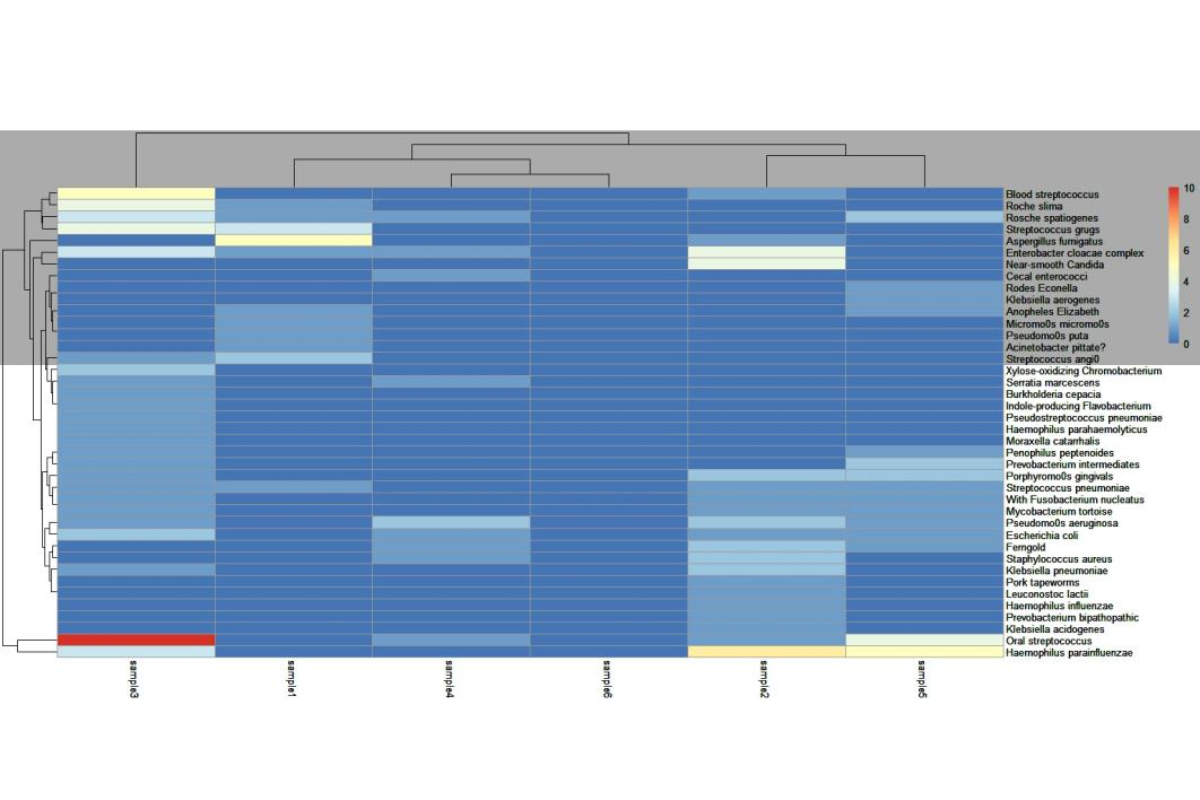 Low-DNA Proteinase K: Eliminate Background Noise in Pathogen Detection