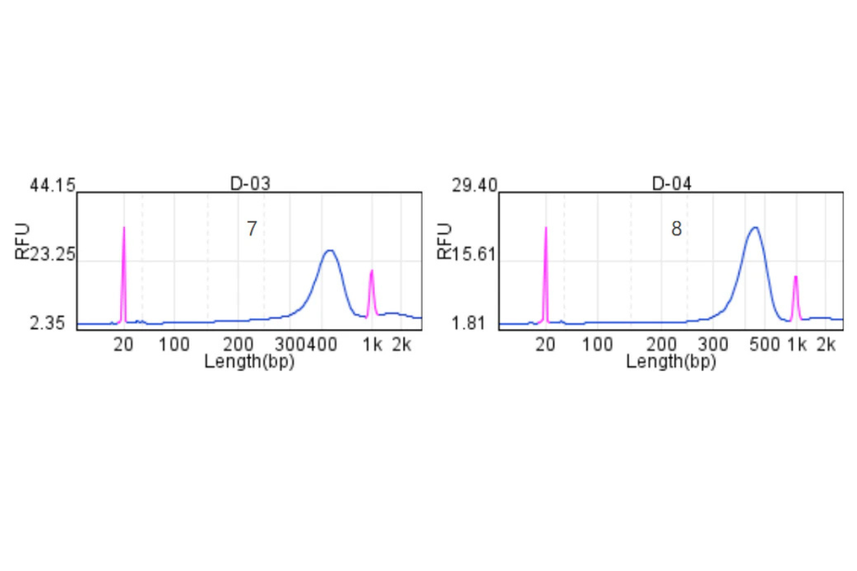 DNA Library Prep | Inhibitor-Rich Environmental Samples (Soil, feces, and enteric samples) | WGS