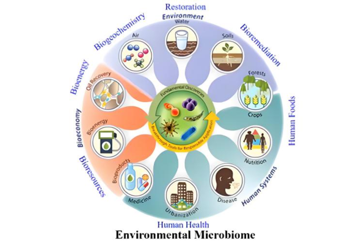 Humic Acid Removal Breakthrough: Enhanced Soil DNA Extraction Kit for Complex Environmental Samples