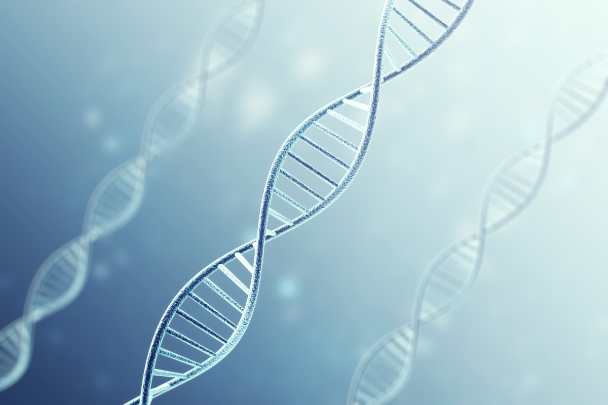 T7 High Yield RNA Synthesis Kit—Efficient RNA Synthesis for Research