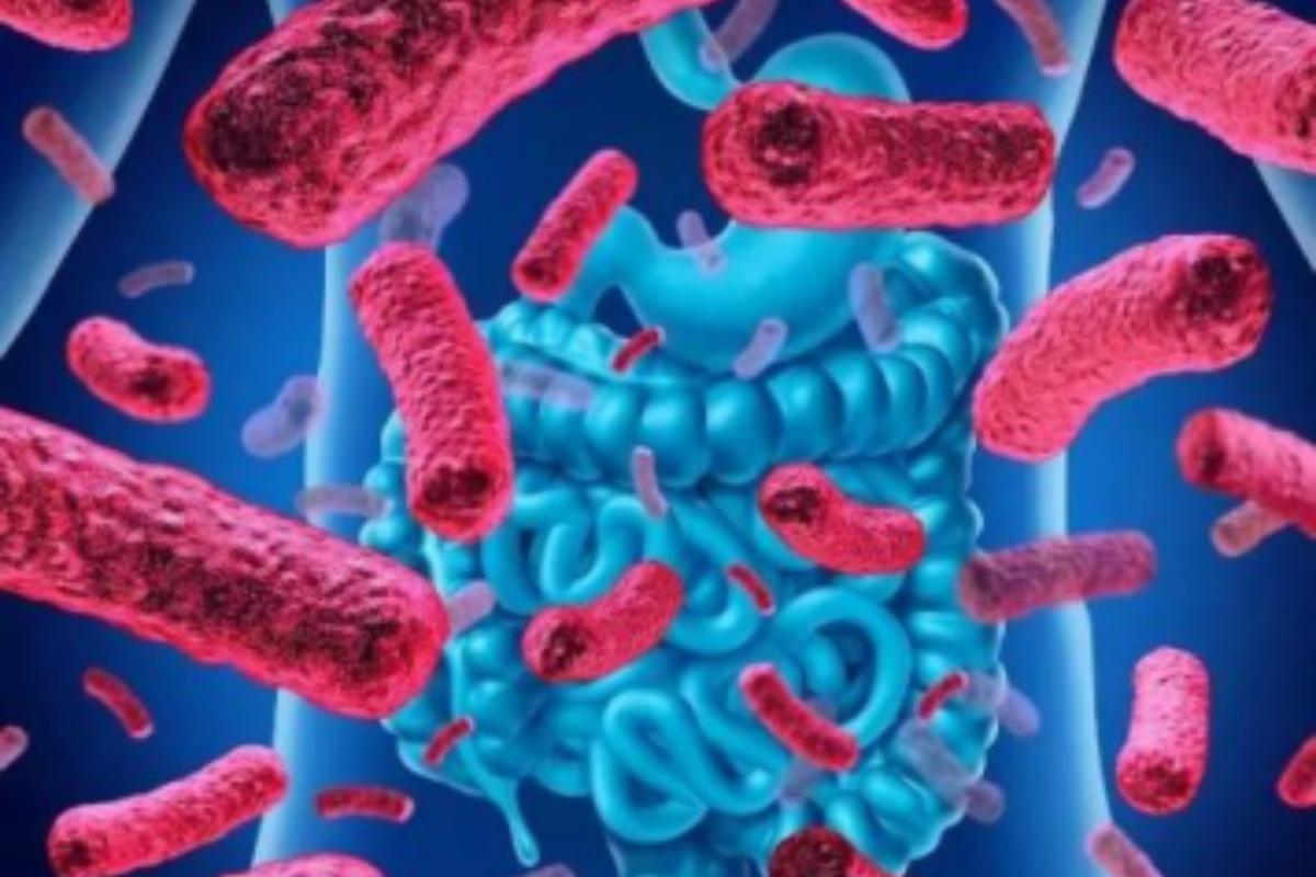 A Complete Guide to Gut Microbiome Sequencing: From 16S Profiling to Multi-Omics Analysis