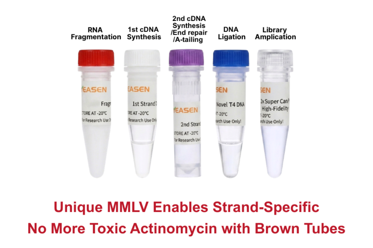 The Premixed RNA-Seq Kit: Library Prep as Simple as RT-PCR