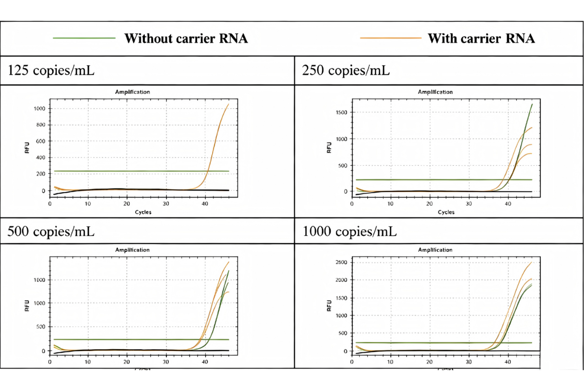 Carrier RNA: Types, Mechanisms, and Applications in Nucleic Acid Extraction