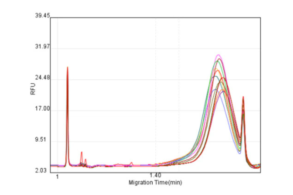DNA Library Prep | Mouse Tissue(Skin and Heart) Samples | WGS