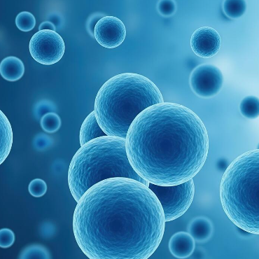 Transfection Solutions for Primary Cells