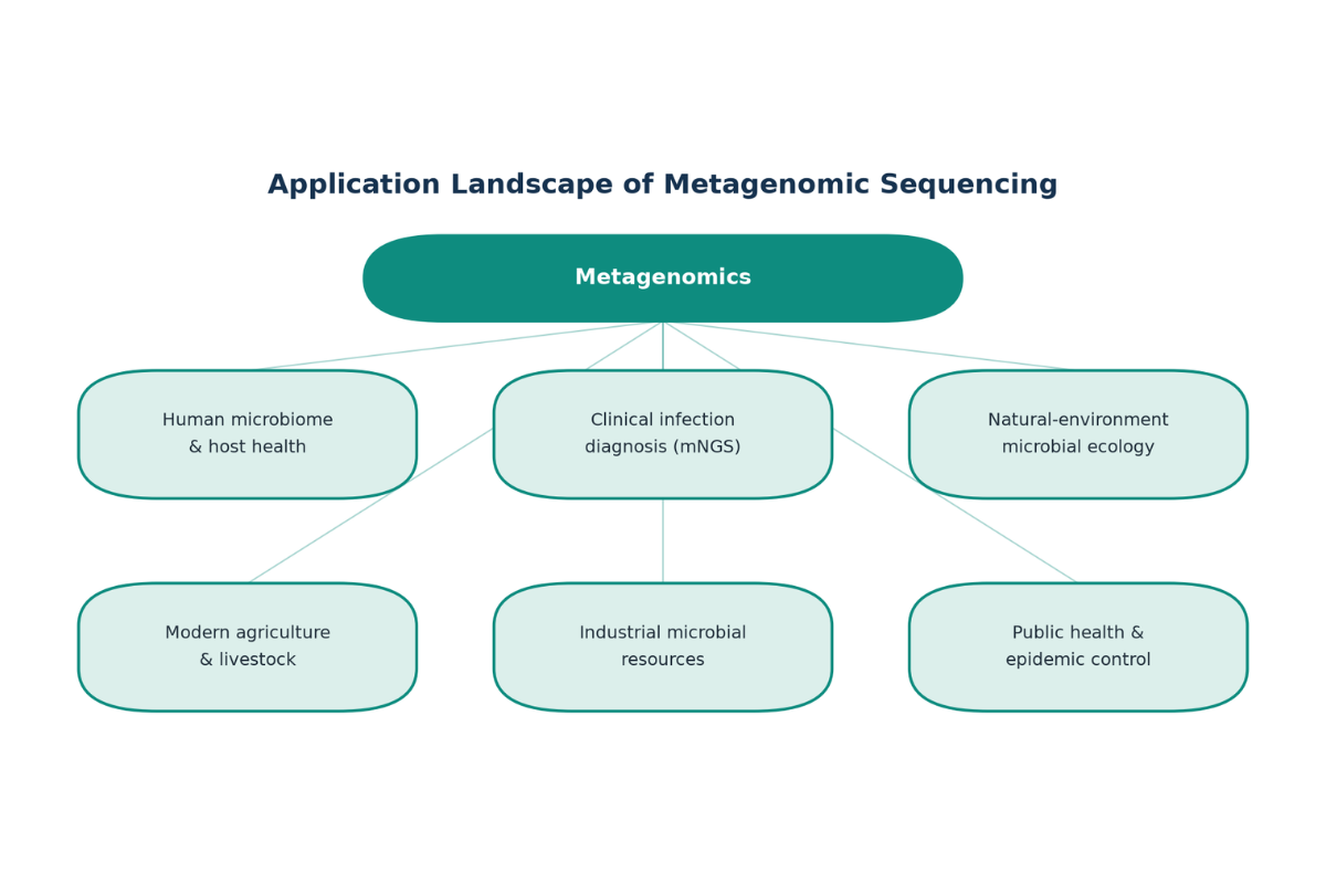 Automated DNA Library Prep | Metagenomic Sequencing-Fecal DNA Samples