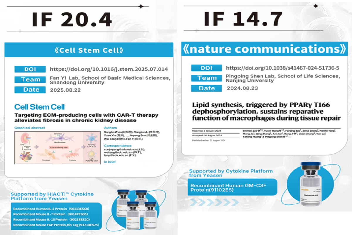 The Triple-High Powerhouse! Yeasen Biotech's HiActi™ Cytokines Make a Grand Entrance