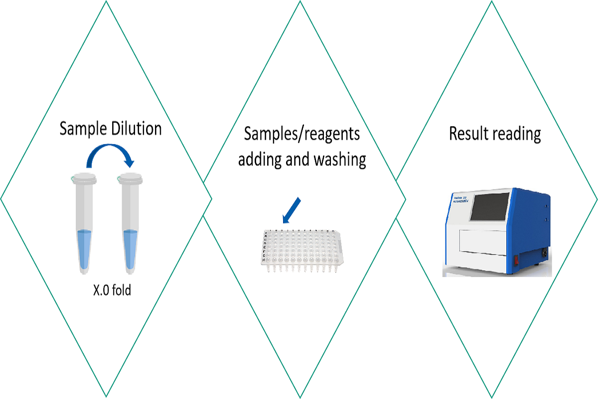Building Safe and High-Quality mRNA Medicines: Critical Control Strategies from R&D to Production