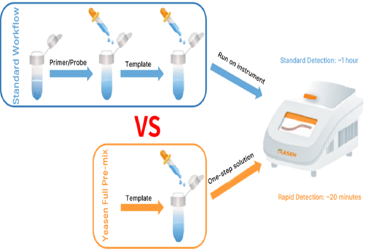 One-Tube Wonder: Fully Premixed qPCR in Under 20 Minutes!---Fast, Reliable, and Hassle-Free Quantification Starts Here