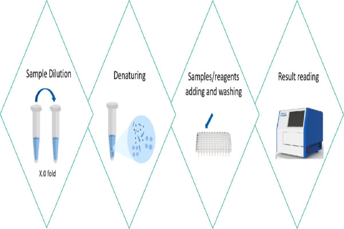 Quality Control Tools for Antibody Drug Discovery and Manufacturing