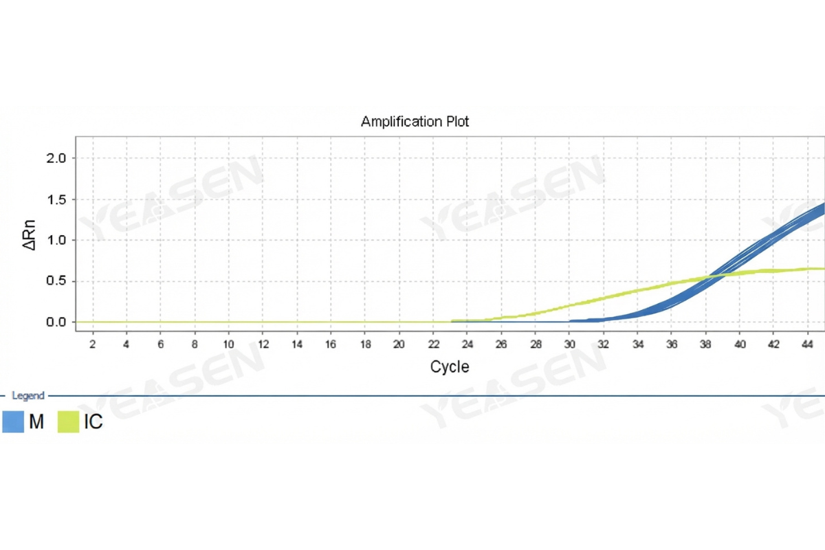 Plasmid DNA Residual Detection Kit
