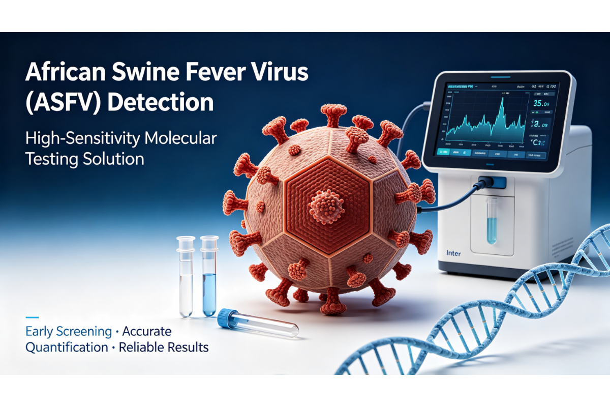African Swine Fever Virus (ASFV) Detection and Molecular Testing Solutions