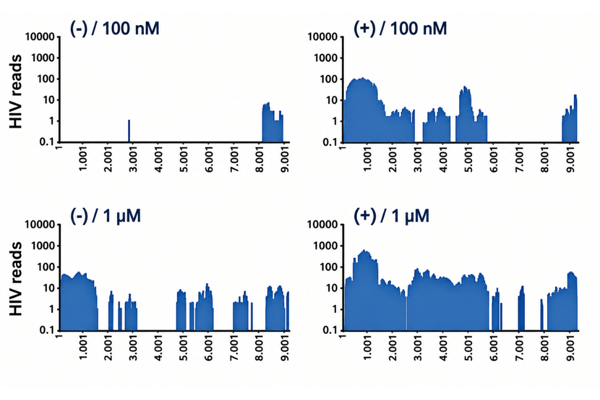Broad-Spectrum Nuclease for Nucleic Acid Removal in Bioprocessing