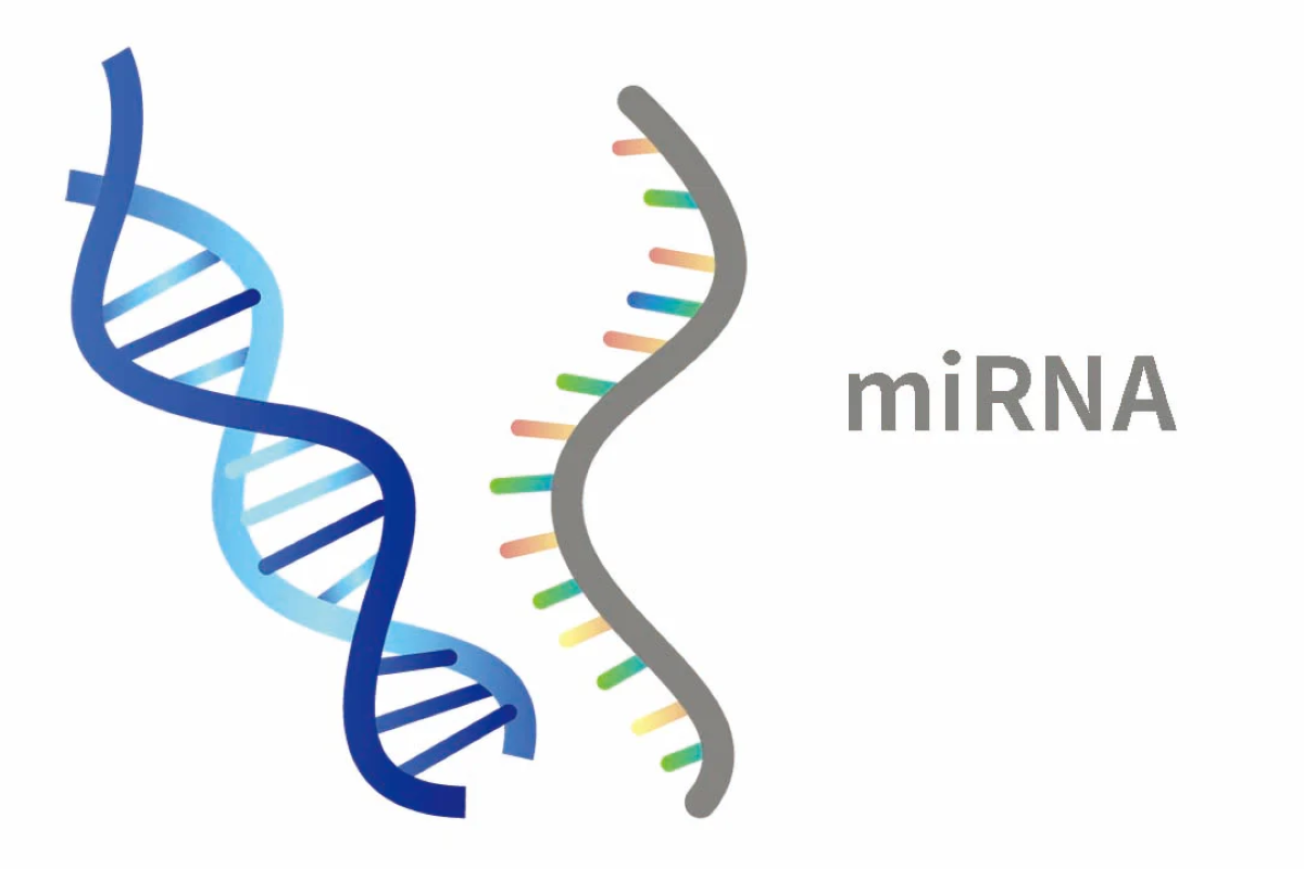Work along both lines, miRNA expression analysis made easier