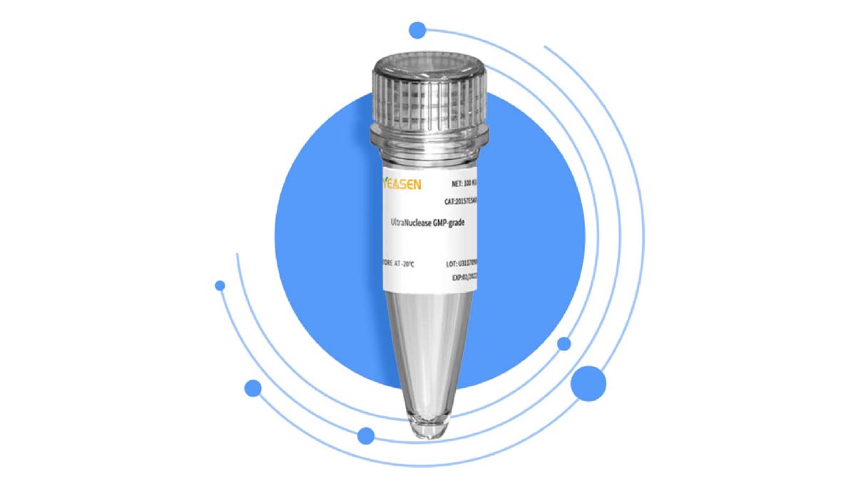 YEASEN UCF. ME ™ UltraNuclease — Your BEST choice for degrading nucleic acids
