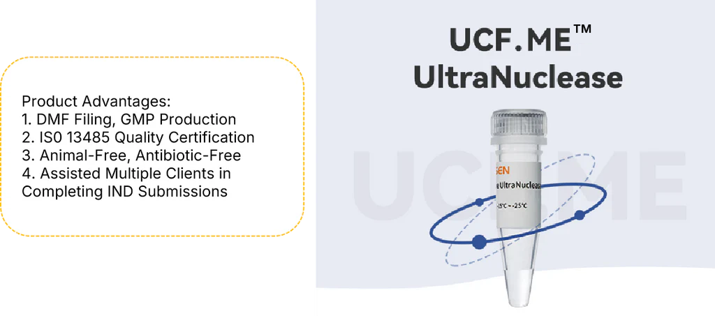 Unlocking Cleaner Bioprocesses: A Deep Dive into UltraNuclease Applications