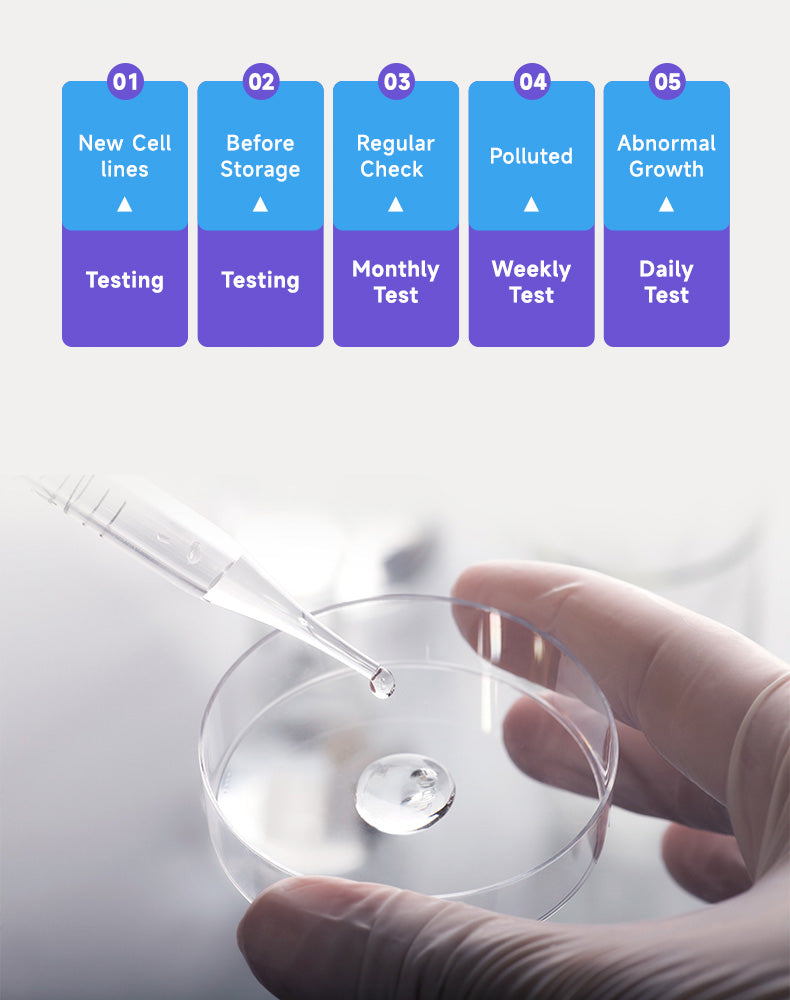 Colorimetric One-Step Mycoplasma Detection Kit (1G)