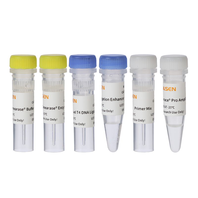 Hieff NGS™ OnePot Pro DNA Library Prep Kit for Illumina™ _ 12205ES