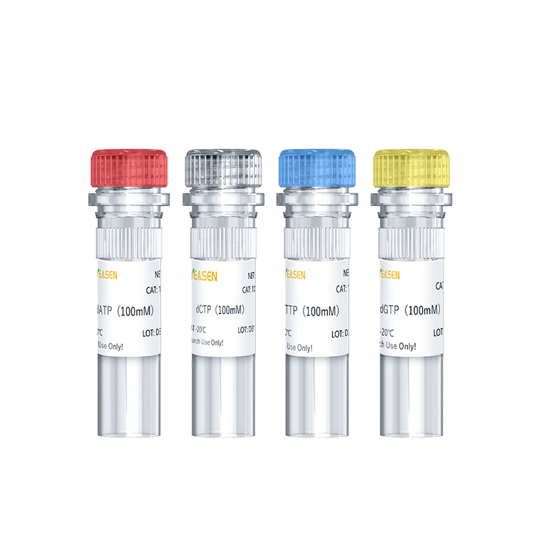dNTP Set Solution (dATP, dCTP, dTTP, dGTP)