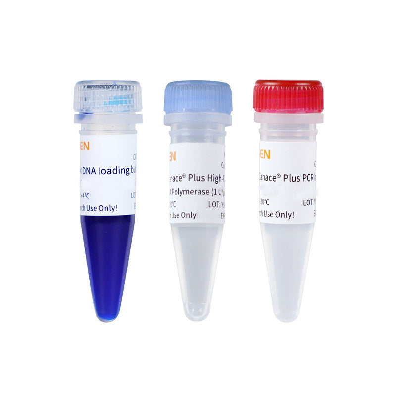 高忠実度PCR