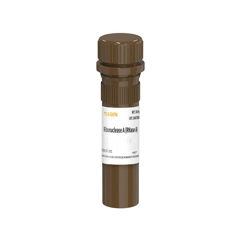 RNase A (100 mg/ml) _ 10406es