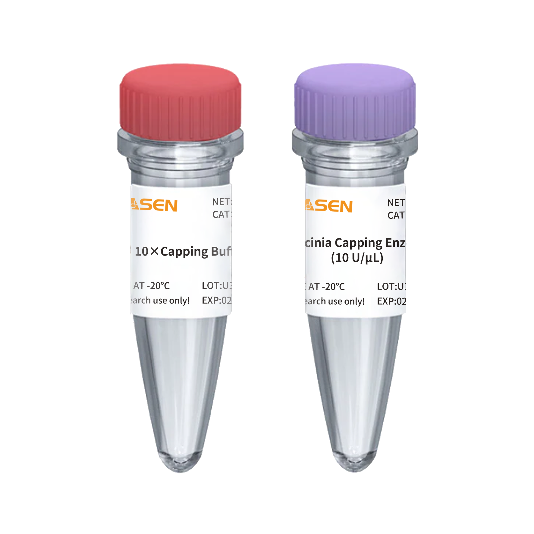 mRNA Vaccinia Capping Enzym GMP-kvalitet (10 U/μL) _ 10614ES