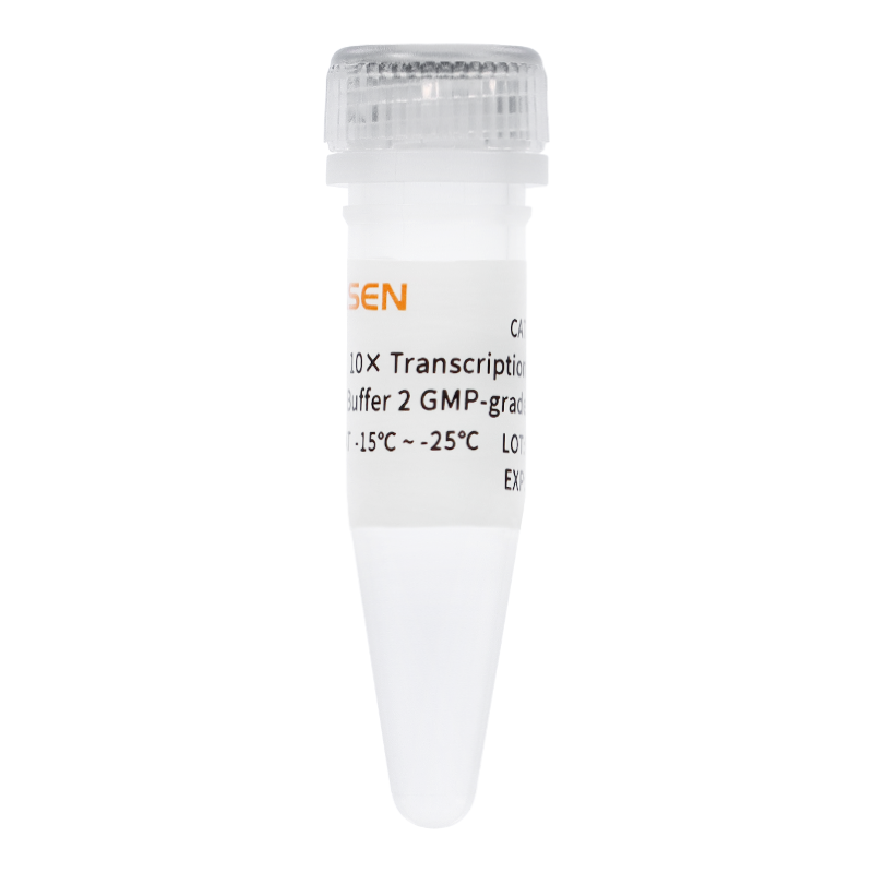 Tampon de transcription 10 × 2 GMP-10670E