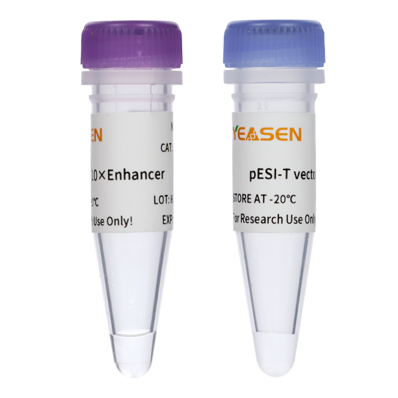 Hieff Clone™ Zero TA Cloning Kit _ 10907ES