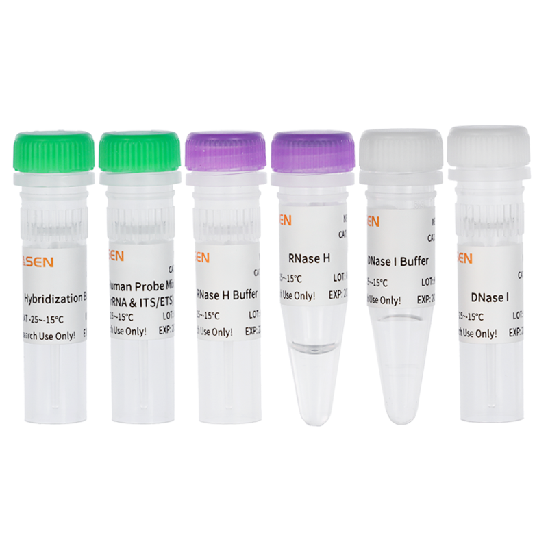 Hieff NGS™ MaxUp Human rRNA Depletion Kit ( Human/Mouse/Rat) _ 12257ES