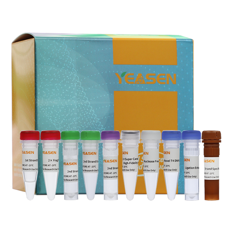 Ultima Dual-mode RNA Library Prep Kit