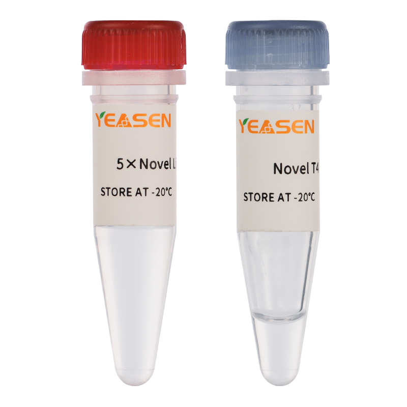 Hieff NGS™ Novel DNA Ligation Module _ 12626ES
