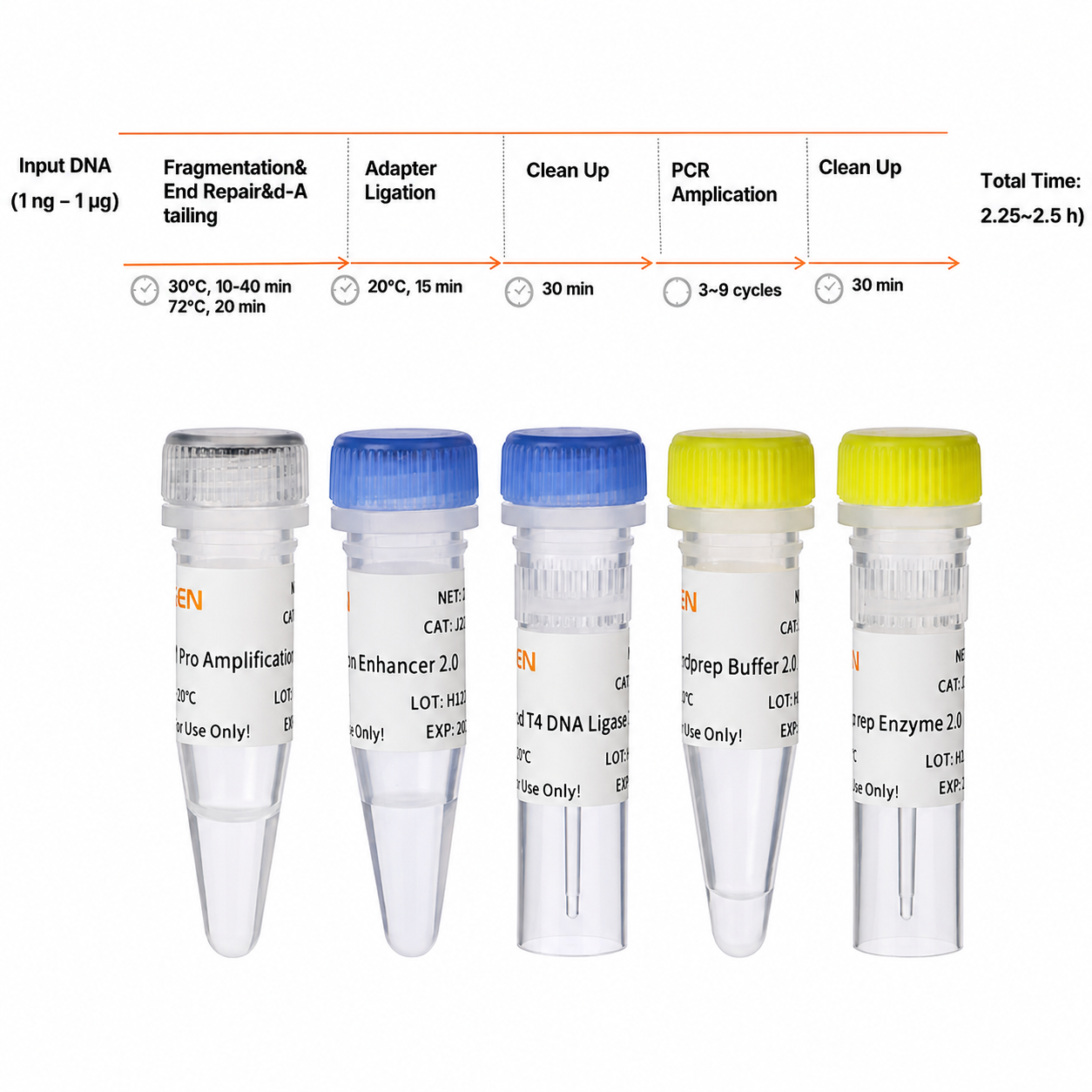 Hieff NGS ™ Onepot Pro DNA Library Prep Kit V4 (enzimatico) -12972es