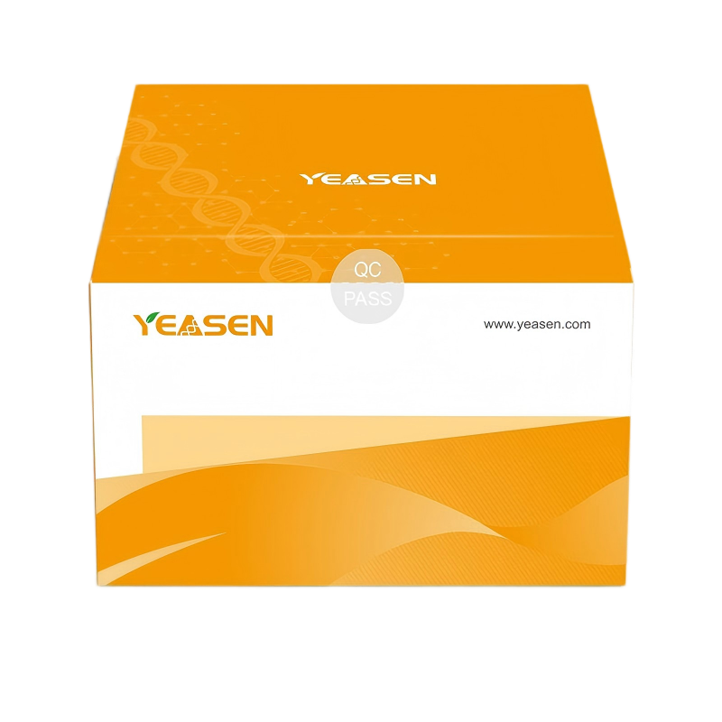 0.5 एमएल पतली-दीवार वाले पॉलीप्रोपाइलीन ट्यूब क्विट परख _ 83509es के लिए