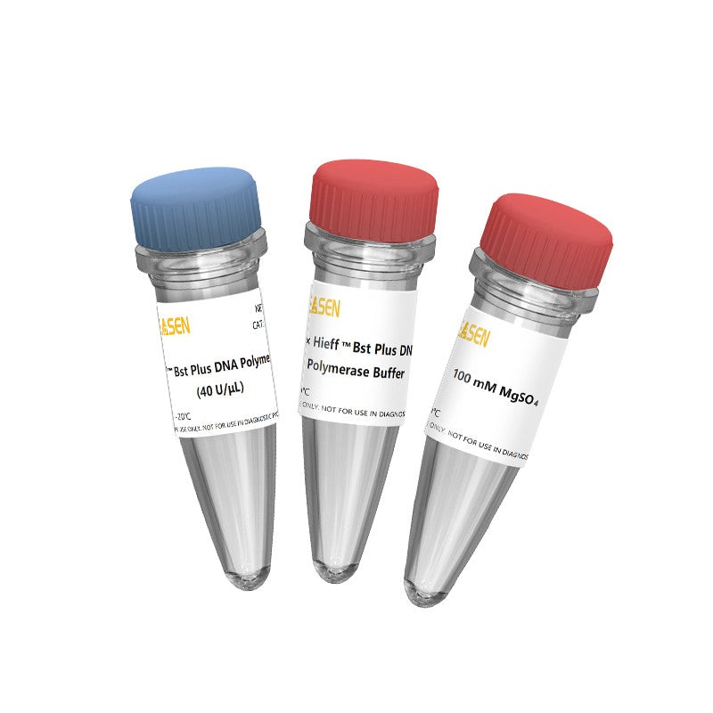 Lyophilisierte BST -Plus -DNA -Polymerase (60 u/μl, glycerinfrei) -14405es