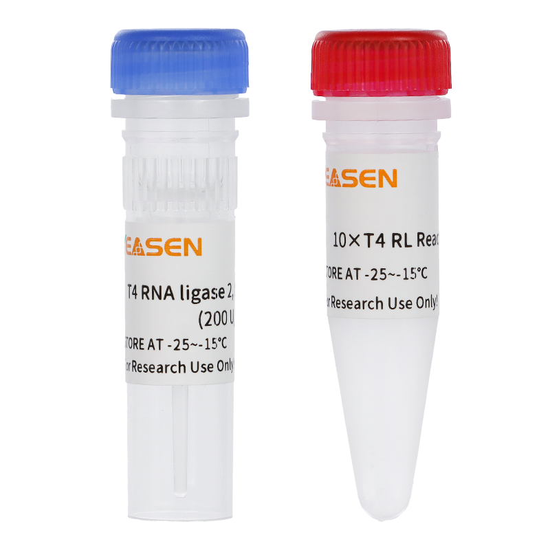 T4 RNA ligase 2, truncated KQ (200 U/μL) _ 14653ES
