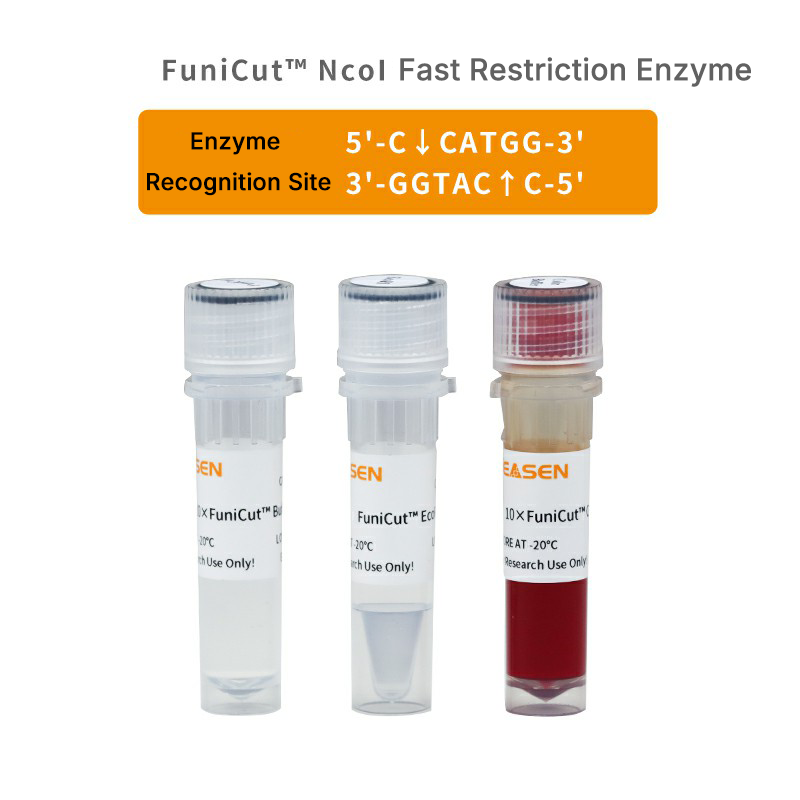 FuniCut™ Ncol _ 15018ES