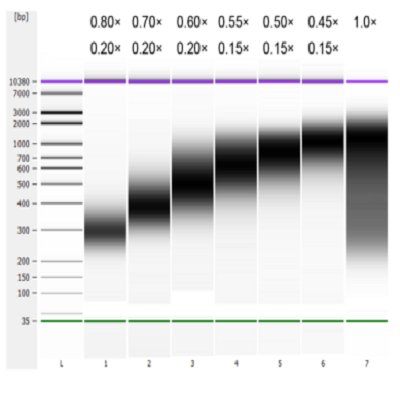 Hieff NGS™ UCF.ME DNA Selection Beads (Low DNA) _ 17266ES