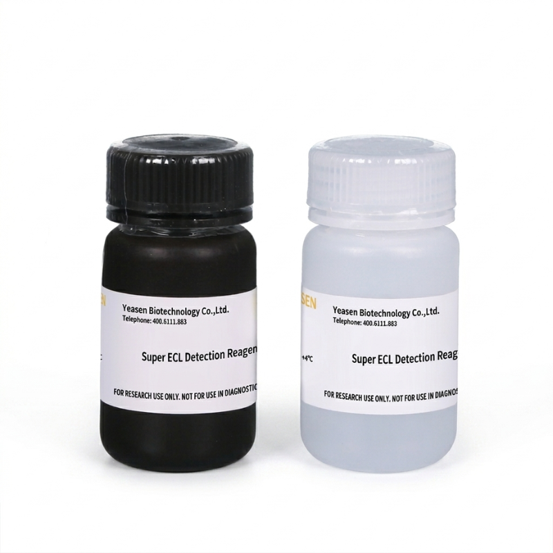 Super ECL Detection Reagent _ 36208ES