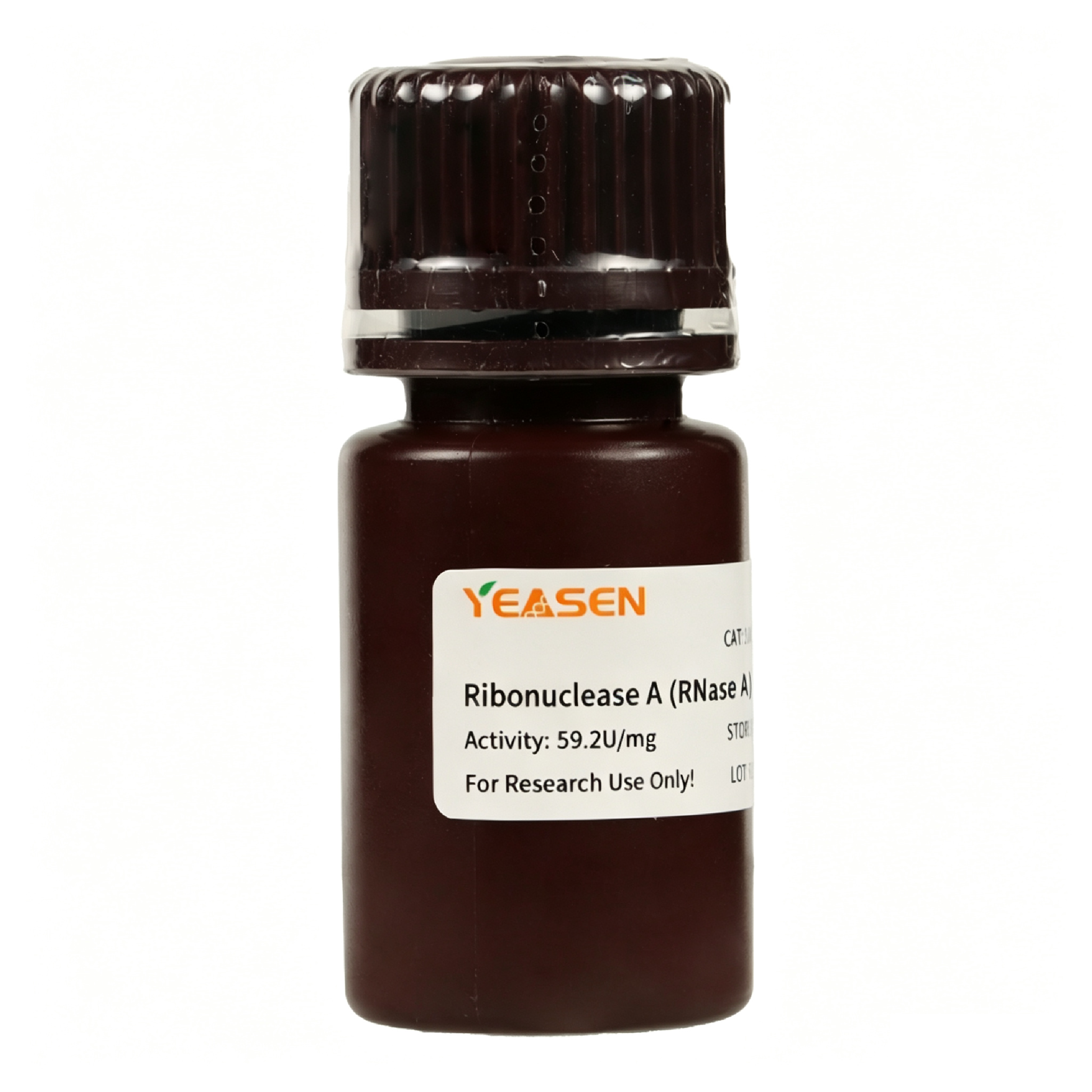 Ribonuklease A (RNase A) aus Rinder -Bauchspeicheldrüse _ 10407es